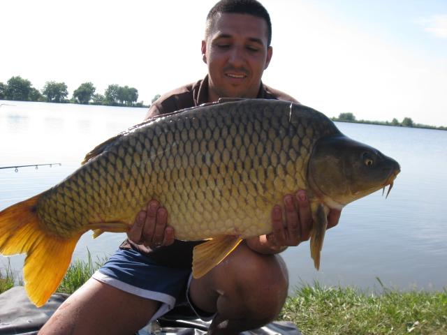 Pasiune - img1643.JPG